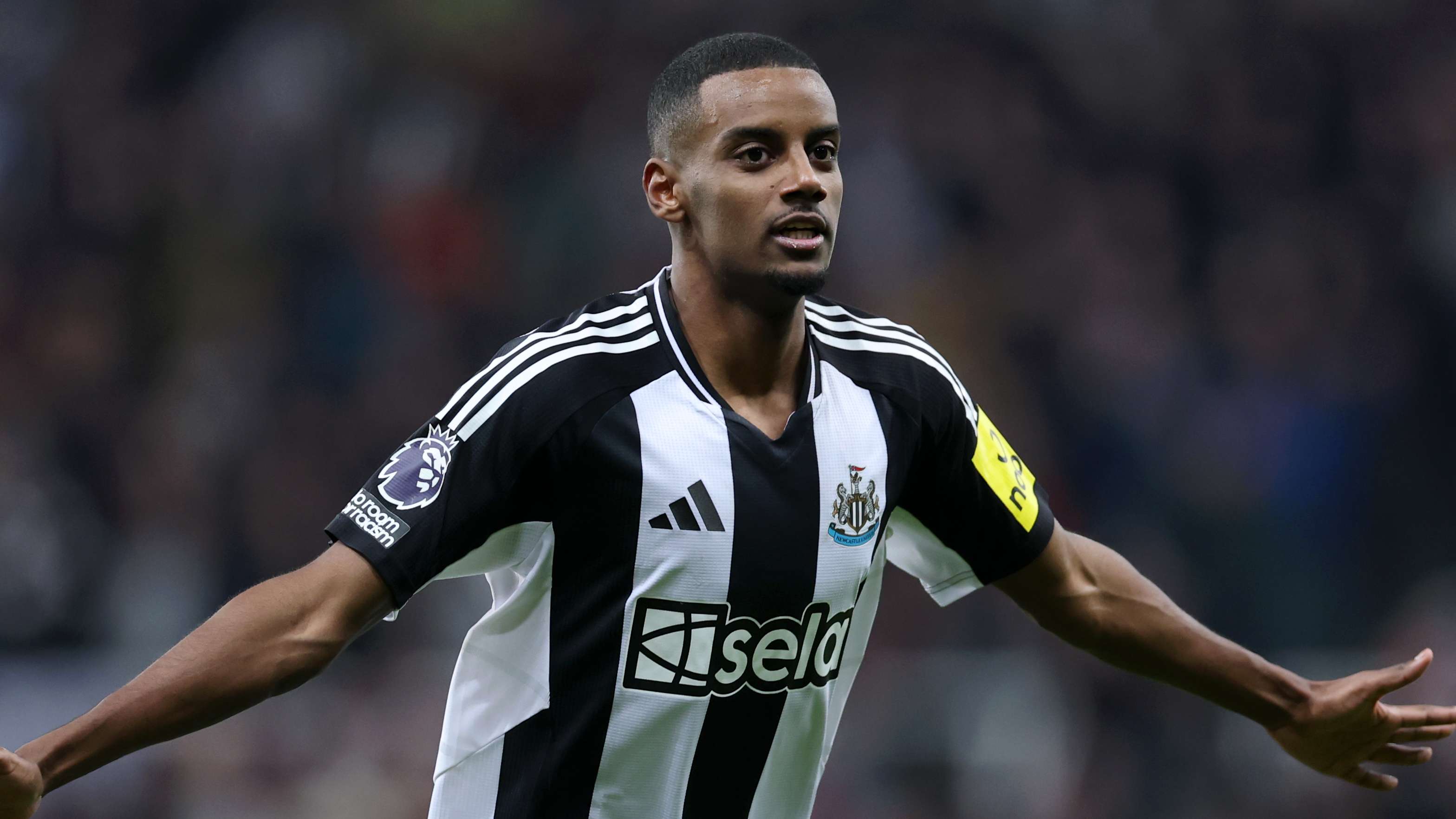 反观雄鹿 反观雄鹿