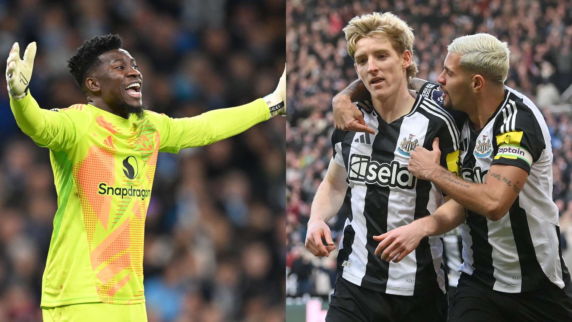 生涯充满了 生涯充满了